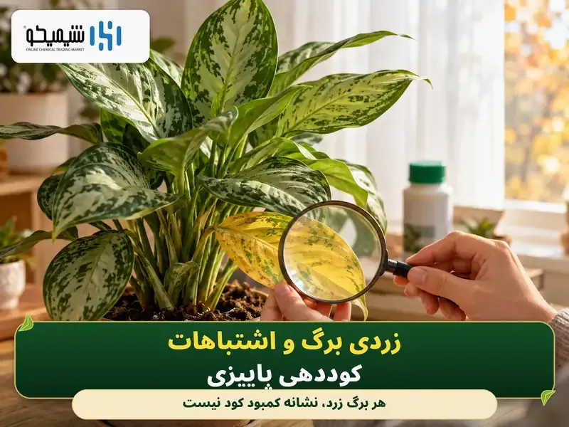 زردی برگ و اشتباهات کوددهی پاییزی