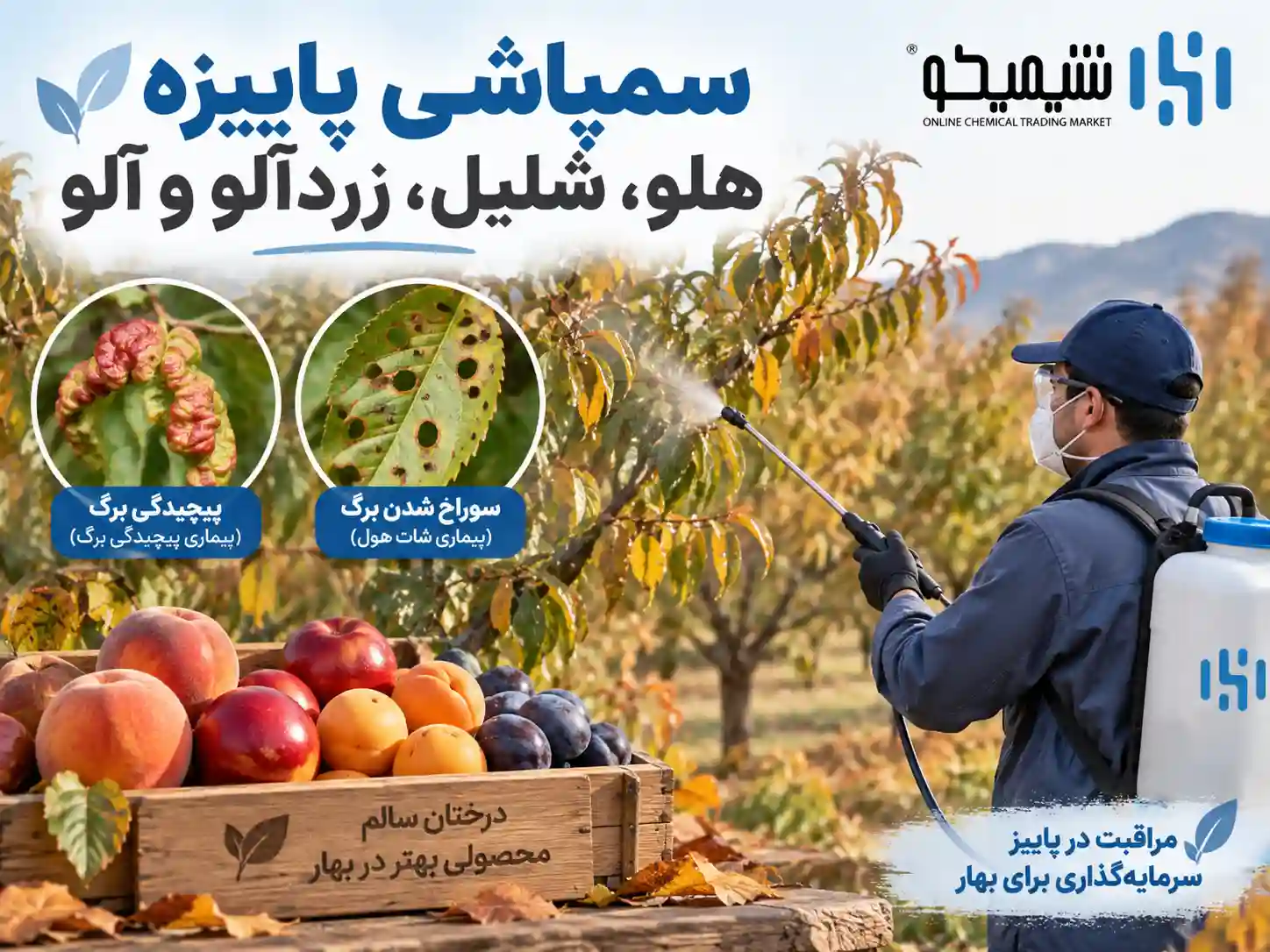 سمپاشی پاییزه هلو، شلیل، زردآلو و آلو
