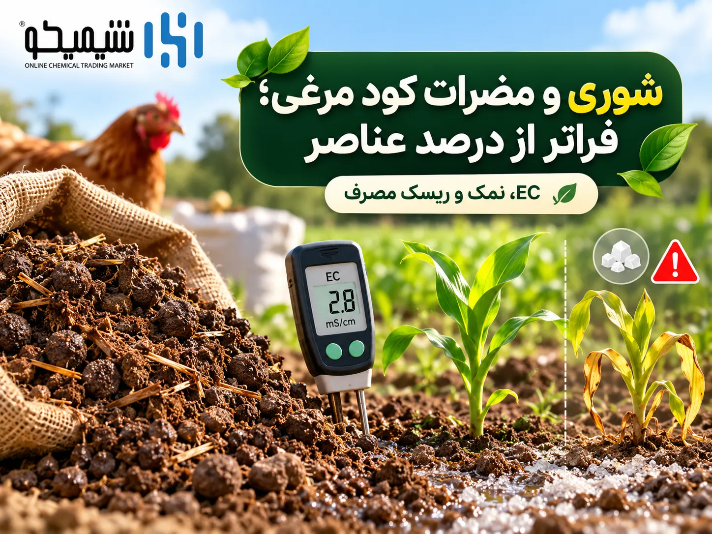 شوری و مضرات کود مرغی؛ فراتر از درصد عناصر