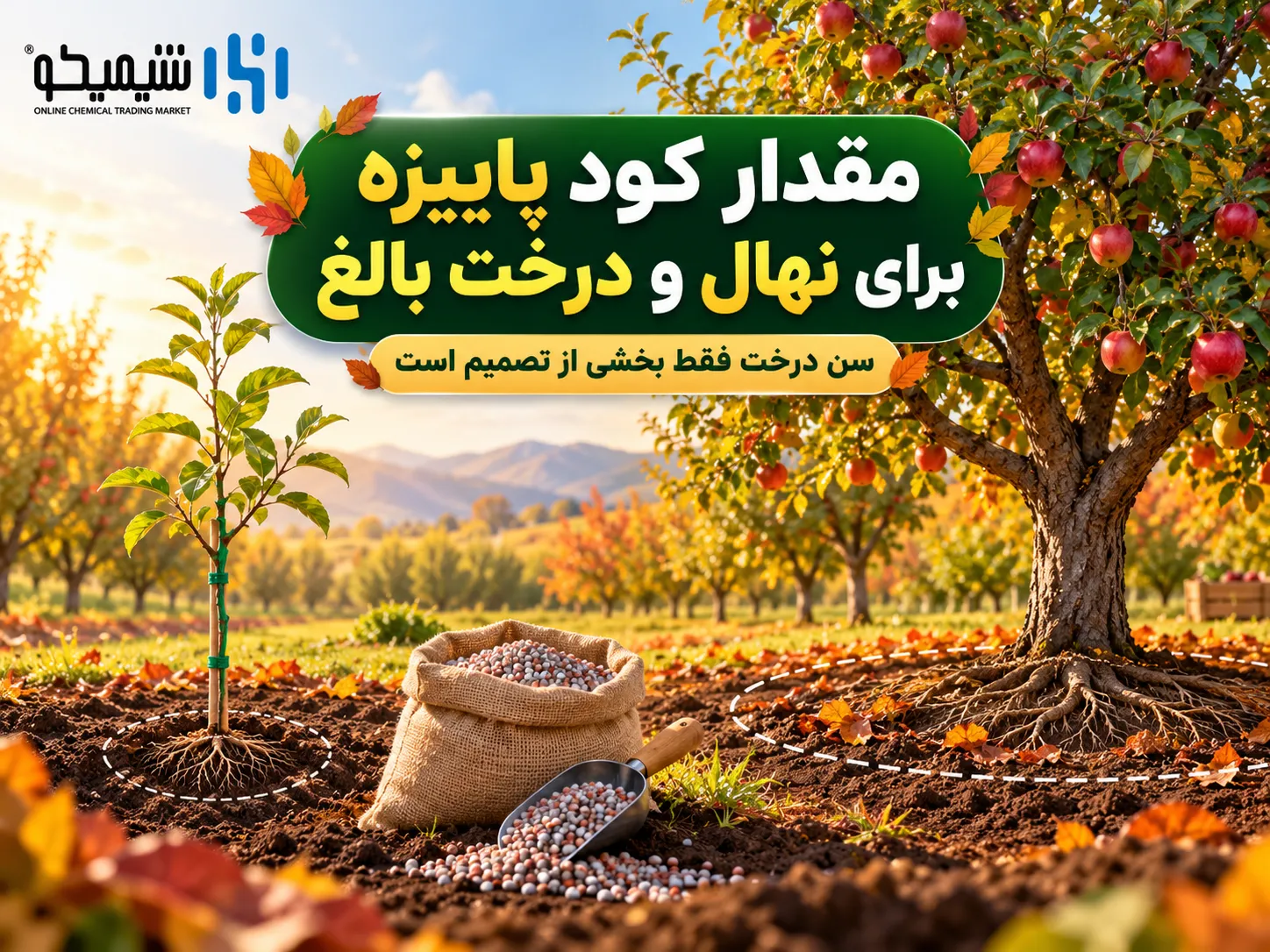 مقدار کود پاییزه برای نهال و درخت بالغ