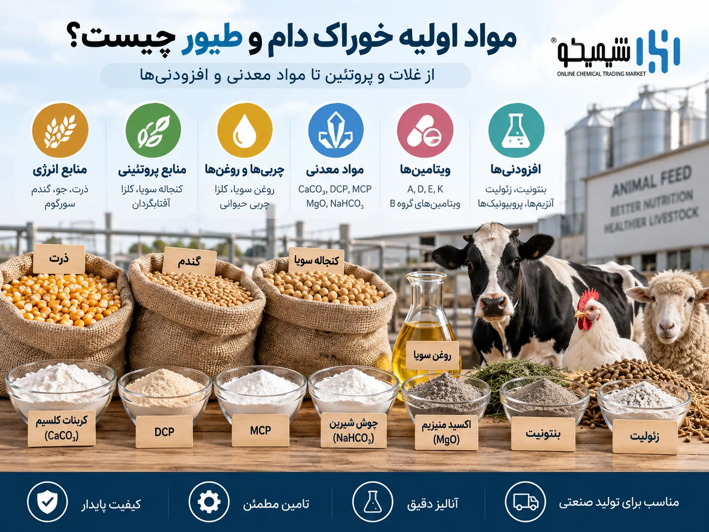 مواد اولیه خوراک دام و طیور چیست و کنسانتره از چه چیزهایی درست می شود؟