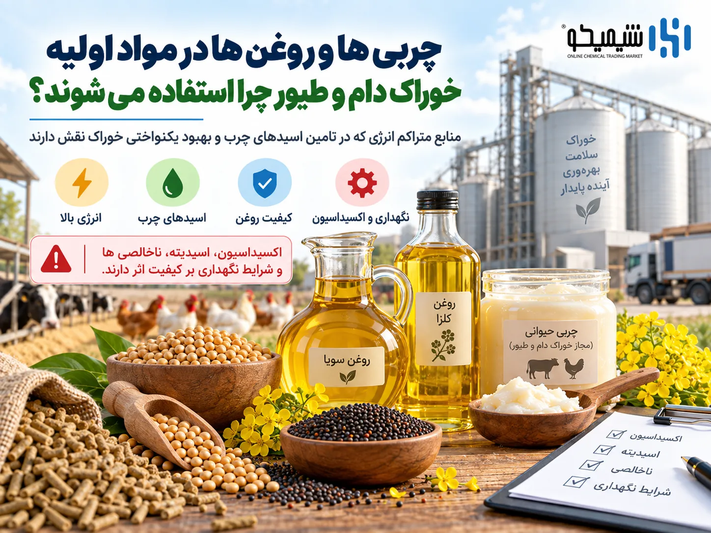 چربی ها و روغن ها در مواد اولیه خوراک دام و طیور چرا استفاده می شوند؟