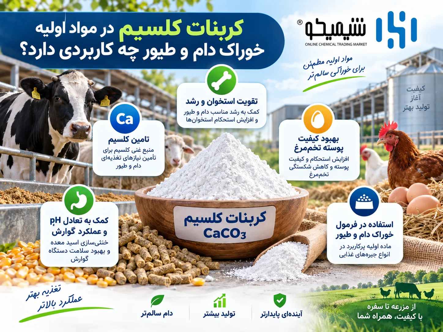 کربنات کلسیم در مواد اولیه خوراک دام و طیور چه کاربردی دارد؟