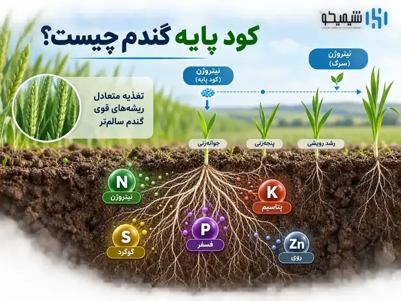 کود پایه گندم چیست و برای کشت پاییزه گندم چه کاربردی دارد؟