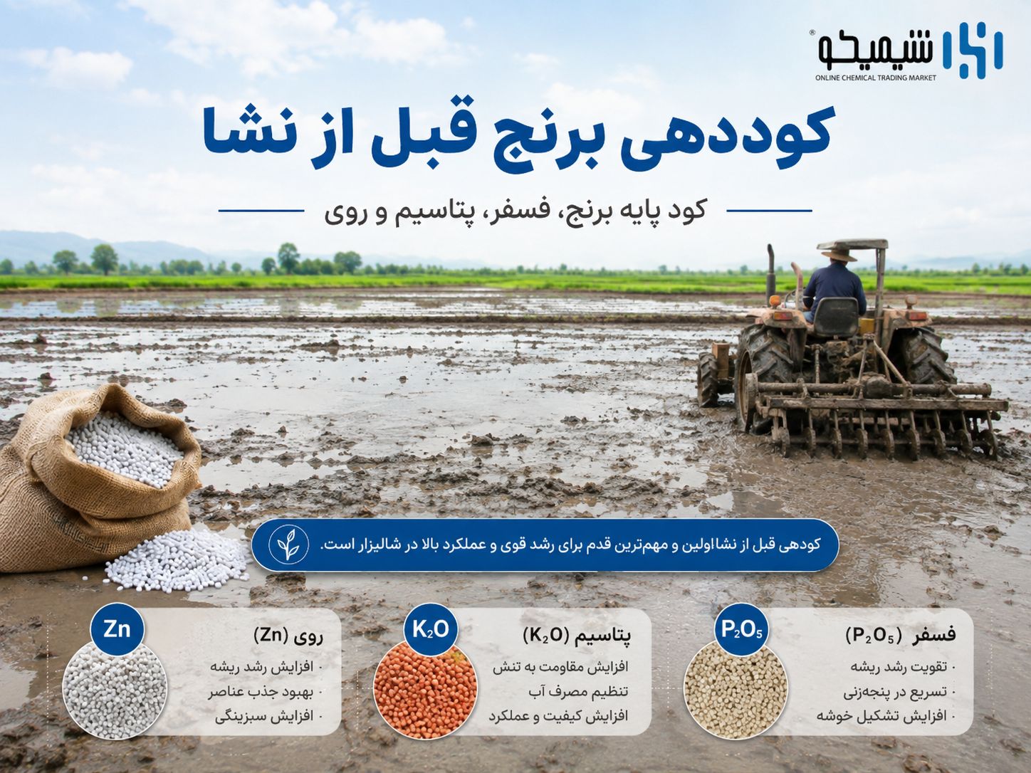 کوددهی برنج قبل از نشا؛ کود پایه برنج، کود سیاه، فسفر، پتاسیم و روی