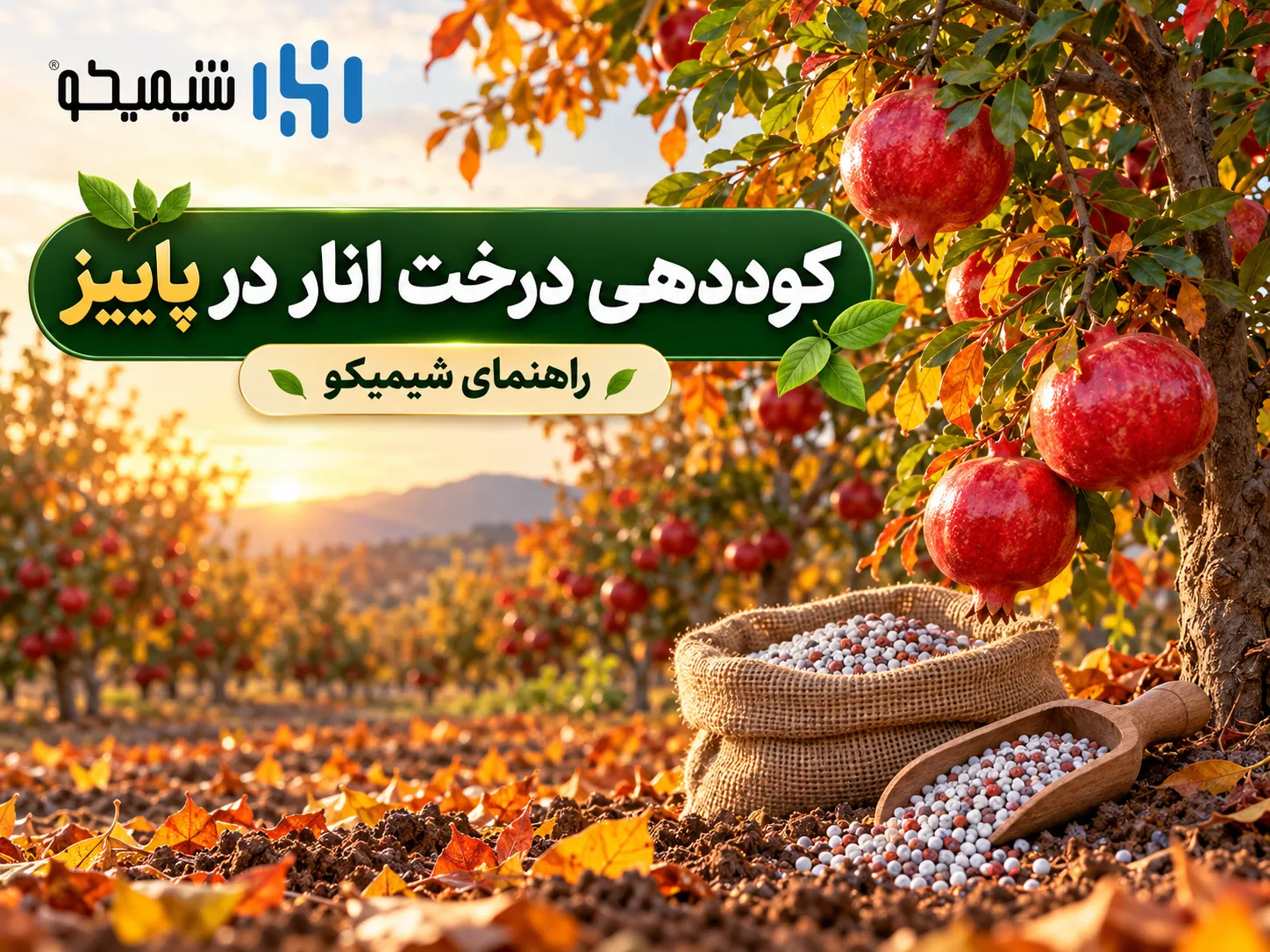 کوددهی درخت انار در پاییز