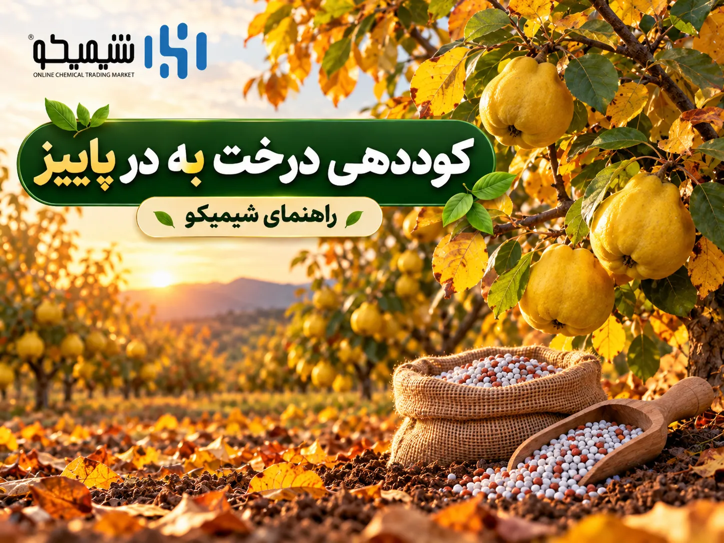 کوددهی درخت به در پاییز