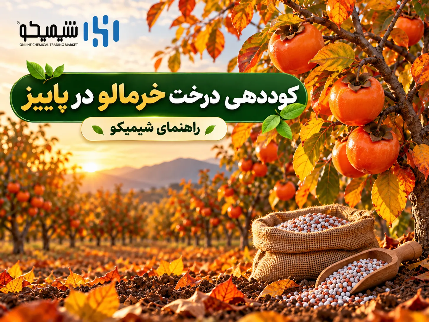 کوددهی درخت خرمالو در پاییز