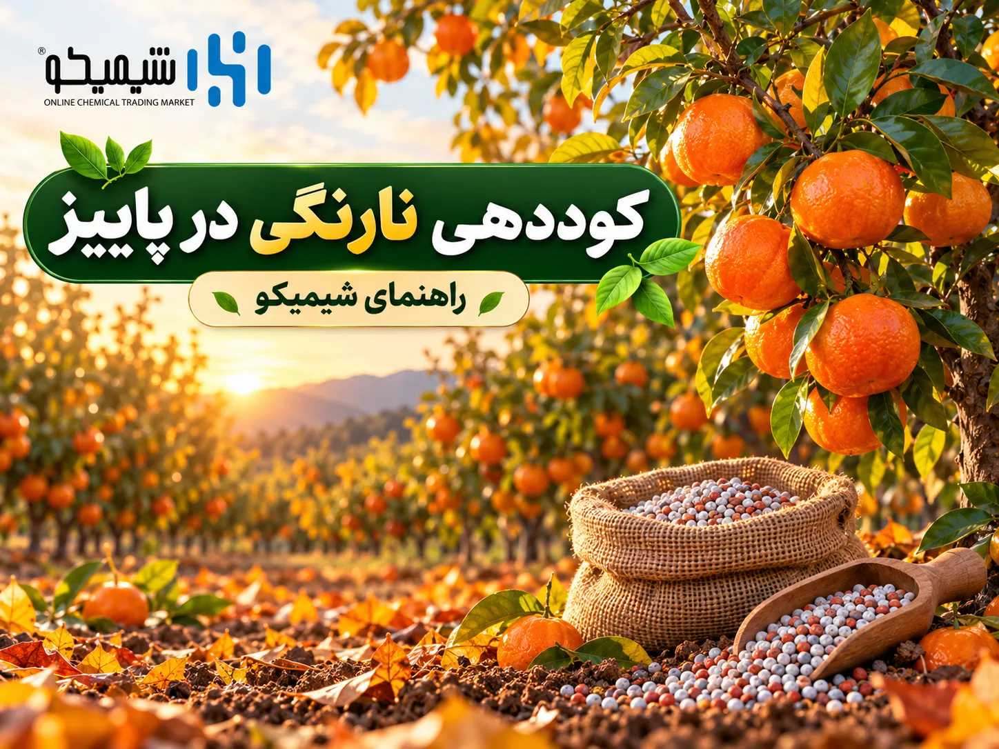 کوددهی نارنگی در پاییز