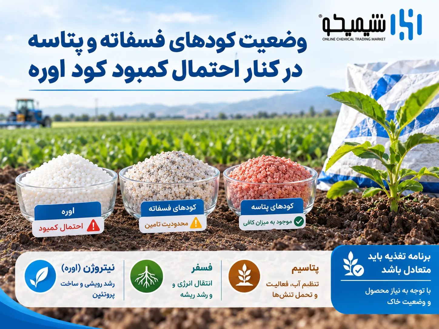 وضعیت کودهای فسفاته و پتاسه در کنار احتمال کمبود کود اوره