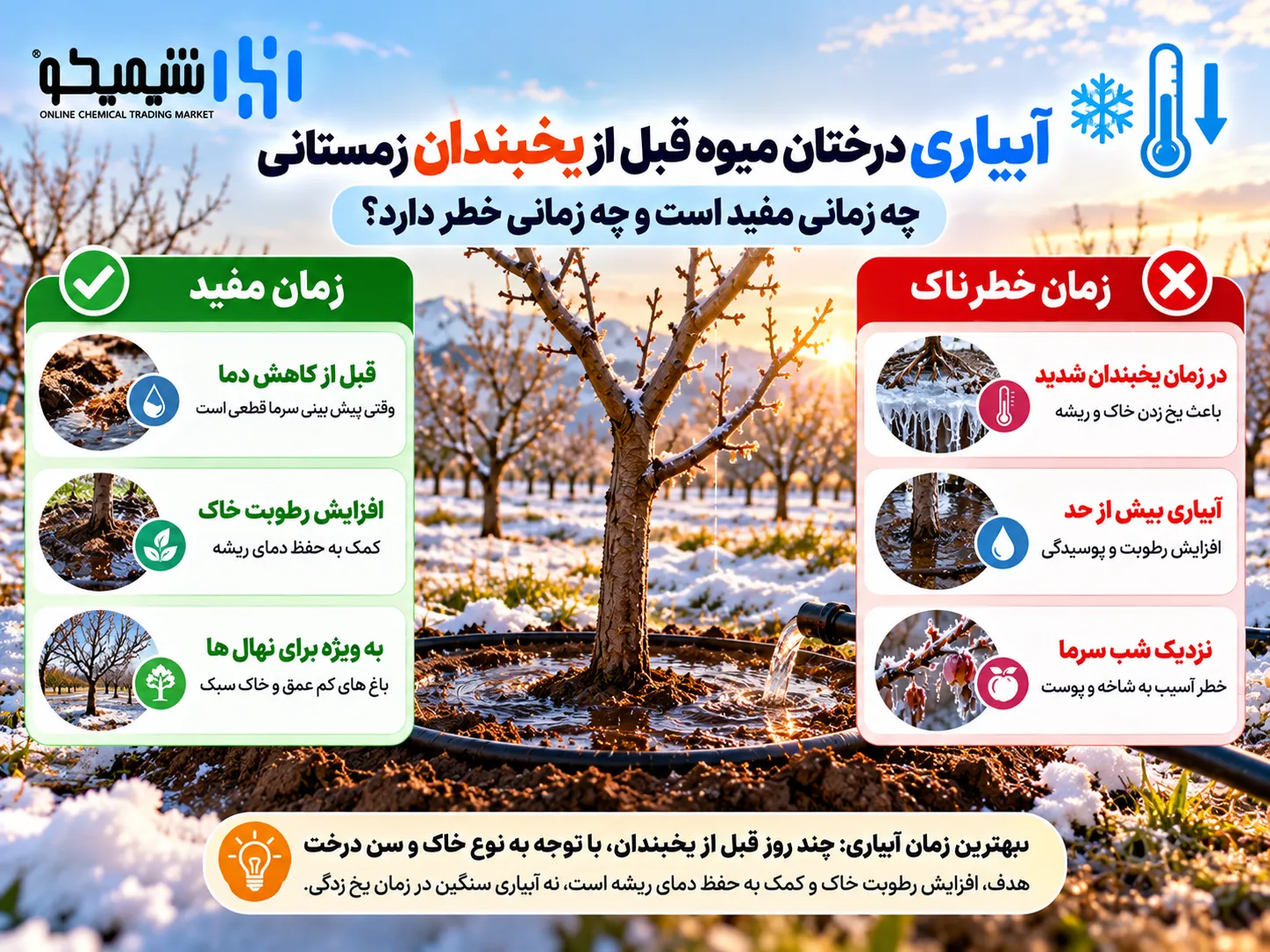 آبیاری درختان میوه قبل از یخبندان زمستانی؛ چه زمانی مفید است و چه زمانی خطر دارد؟