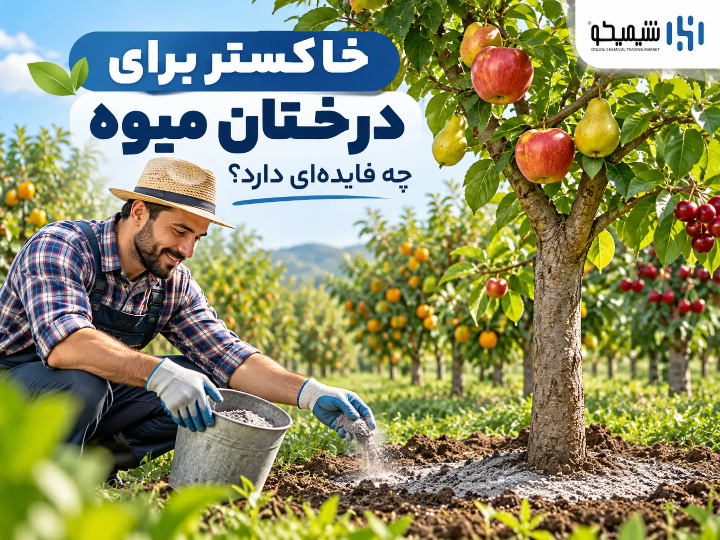 آیا خاکستر برای درختان میوه مفید است؟