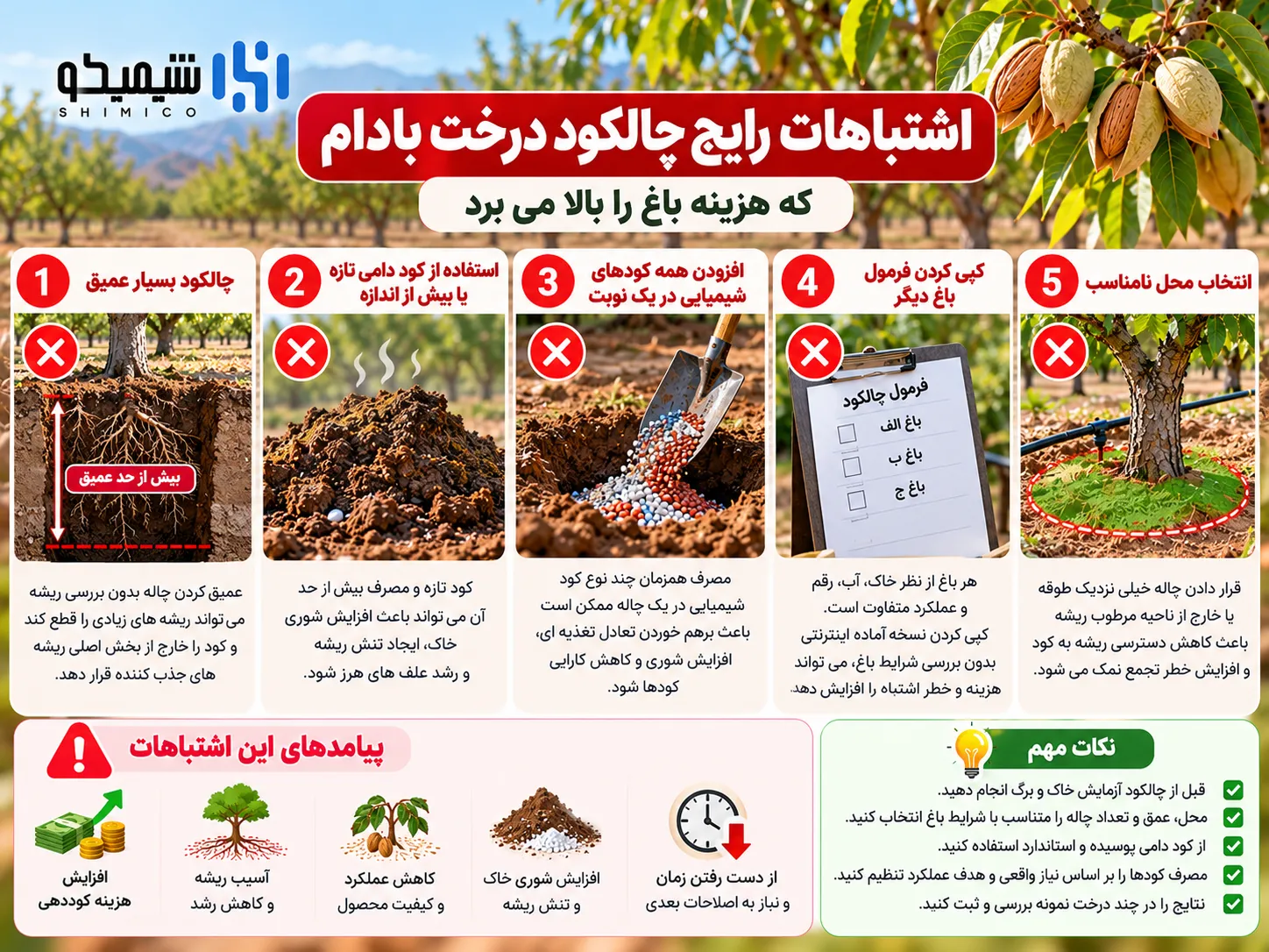 اشتباهات رایج چالکود درخت بادام که هزینه باغ را بالا می برد