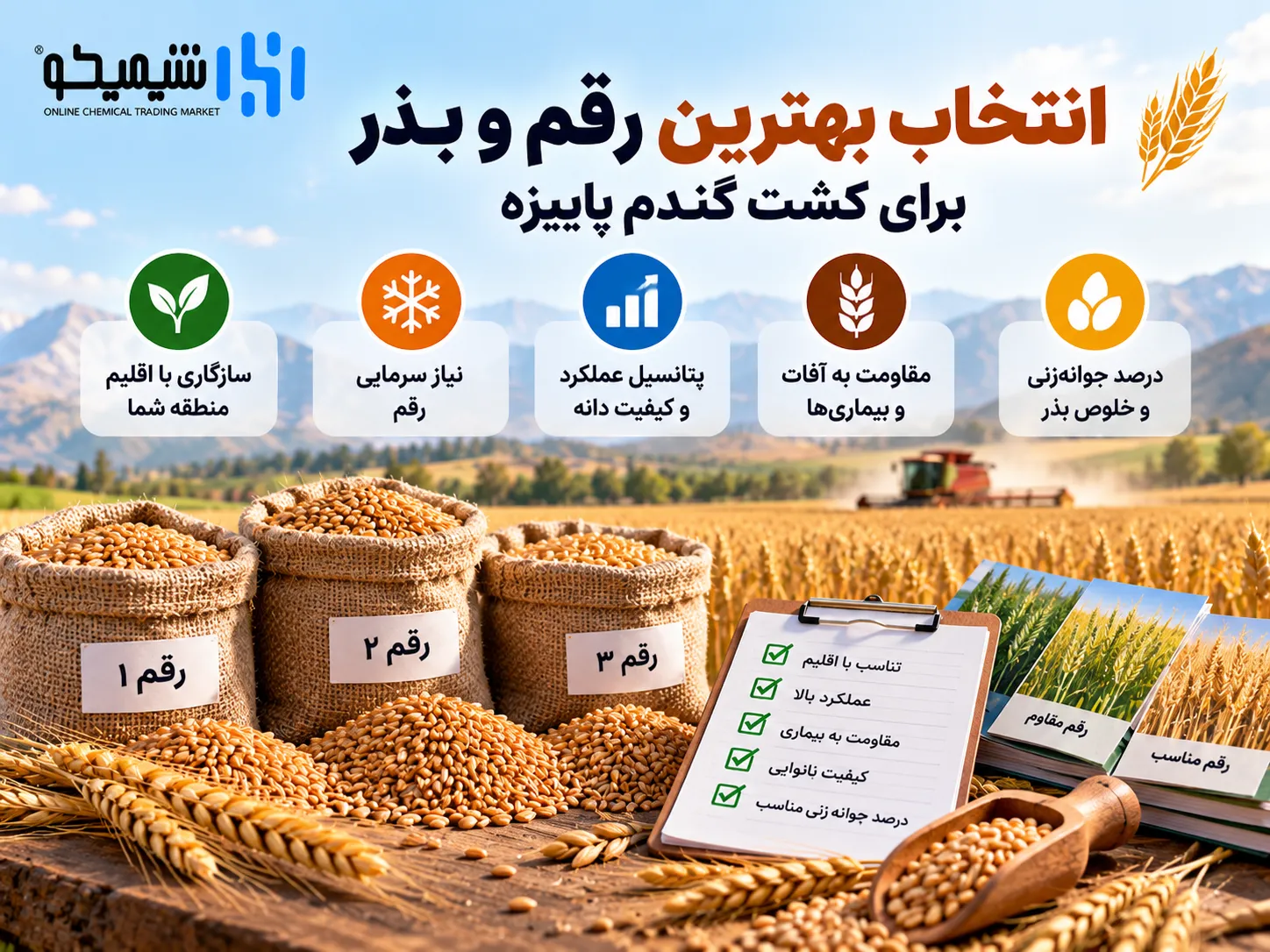 انتخاب بهترین رقم و بذر برای کشت گندم پاییزه