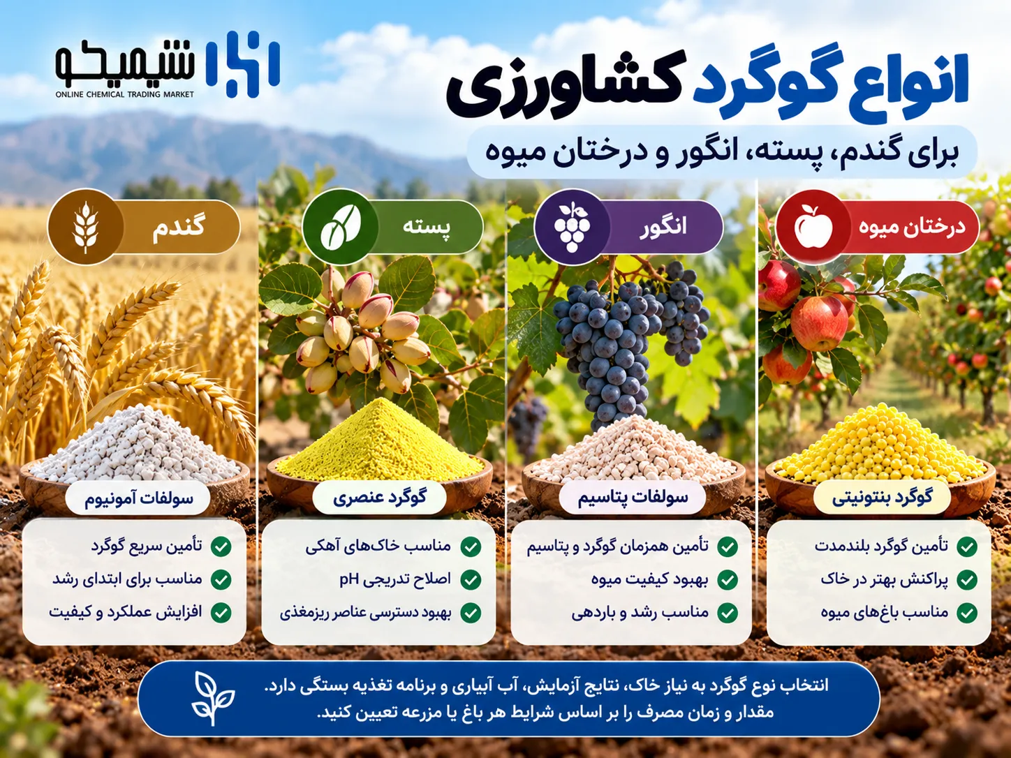انواع گوگرد کشاورزی برای گندم، پسته، انگور و درختان میوه