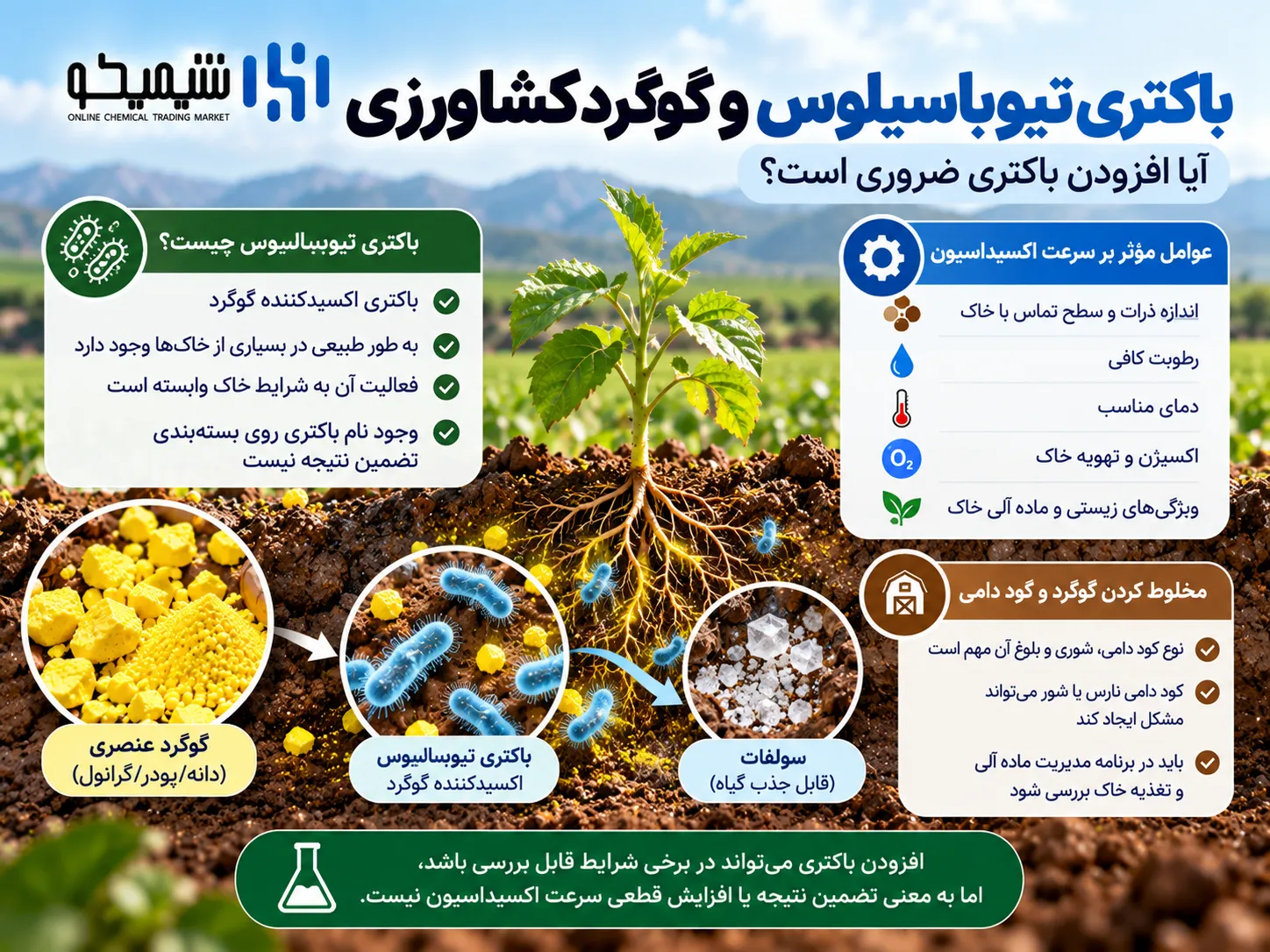 باکتری تیوباسیلوس و انواع گوگرد کشاورزی؛ آیا افزودن باکتری ضروری است؟