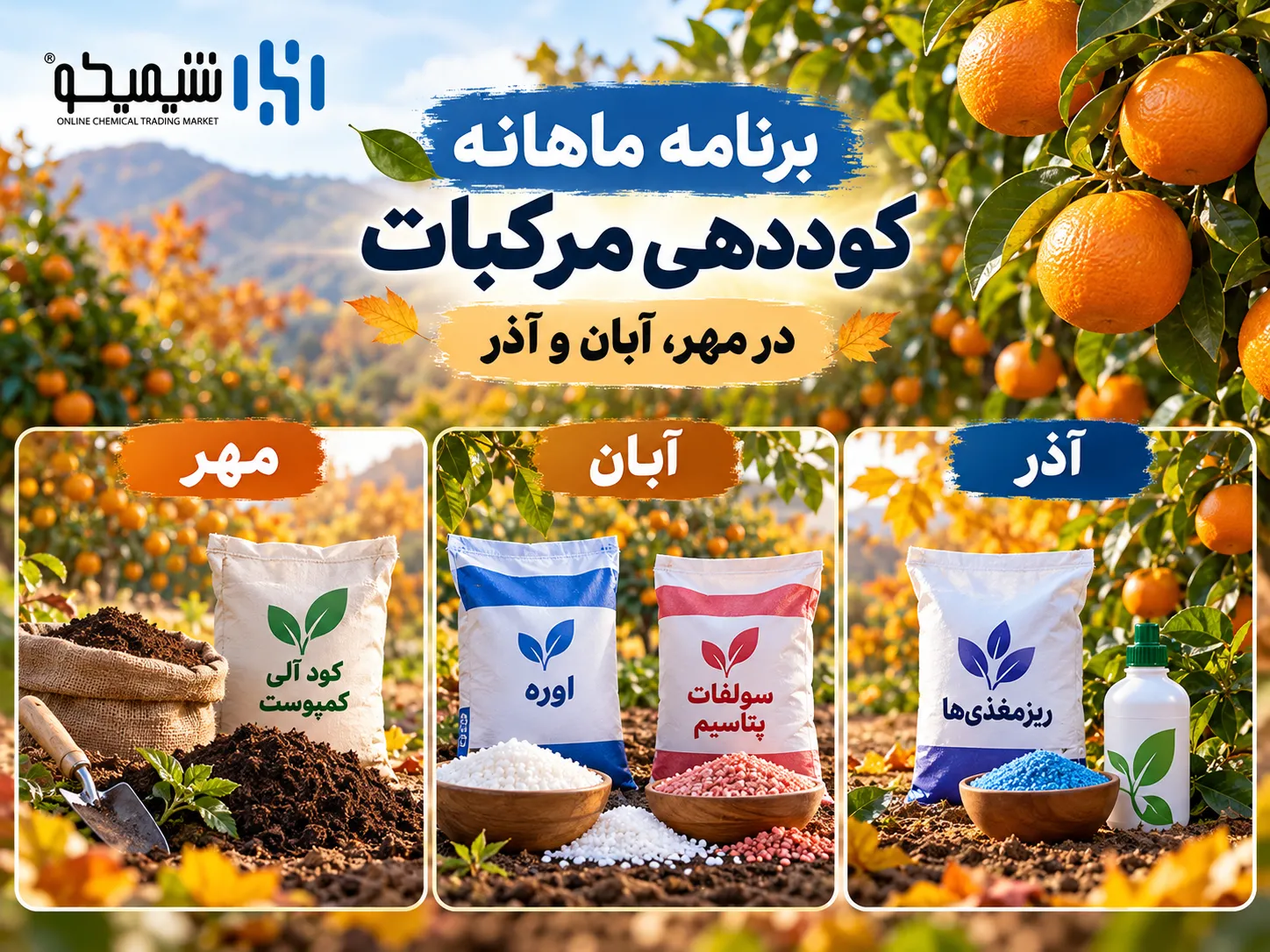 برنامه ماهانه کوددهی مرکبات در پاییز؛ مهر، آبان و آذر چه کودی بدهیم؟