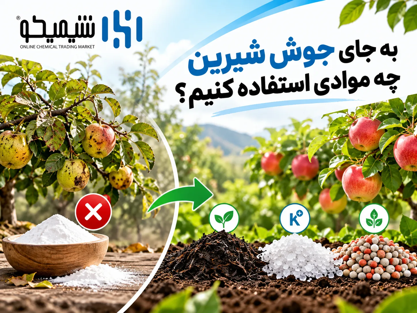 به جای جوش شیرین برای درختان میوه از چه موادی استفاده کنیم؟