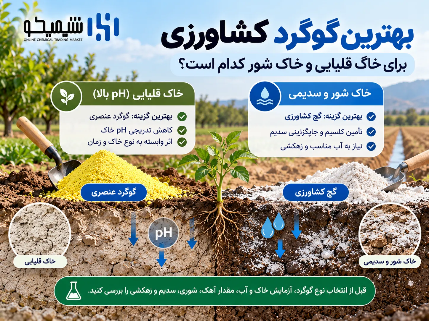 بهترین نوع گوگرد کشاورزی برای خاک قلیایی و خاک شور کدام است؟