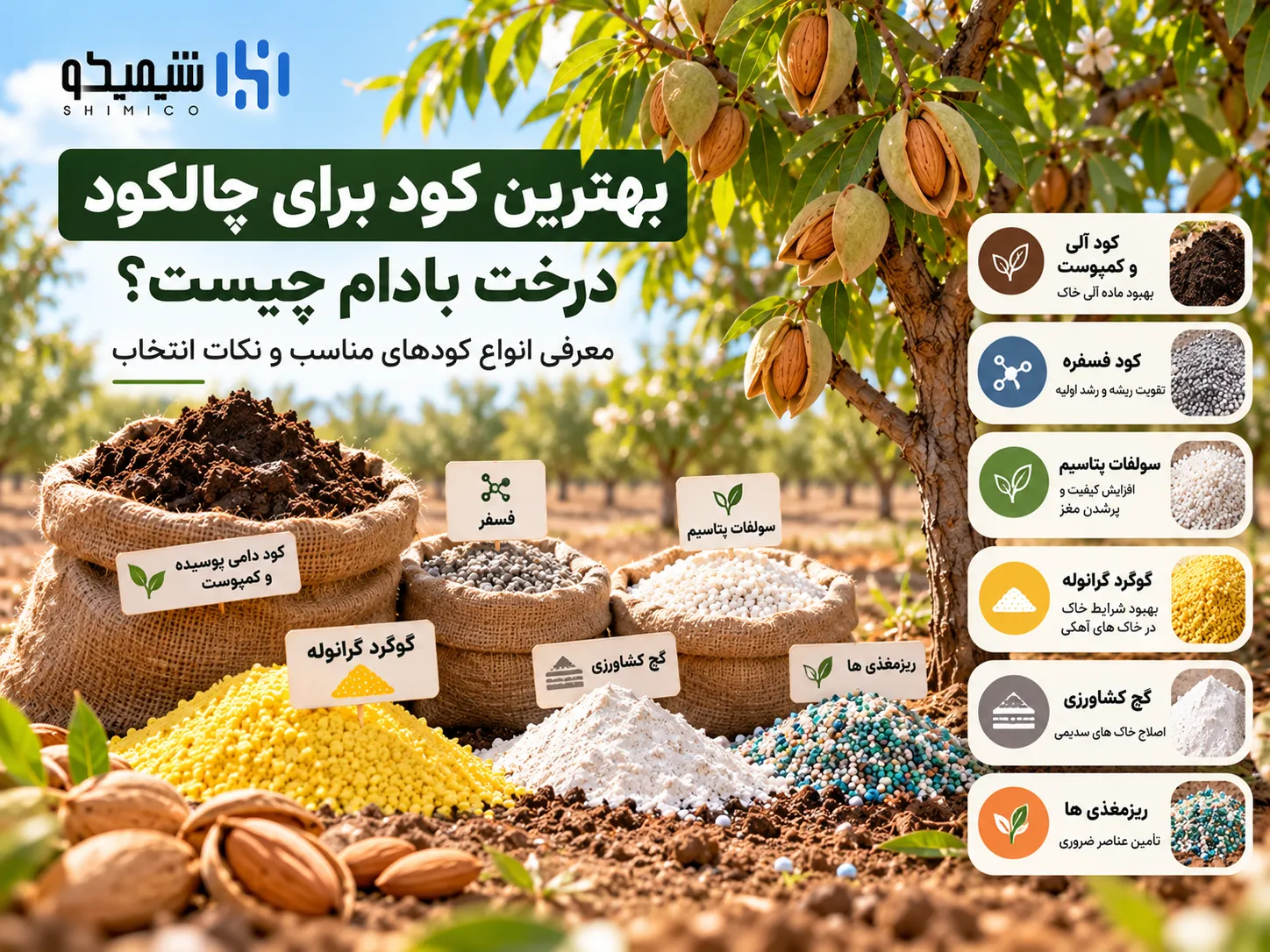 بهترین کود برای چالکود درخت بادام چیست؟