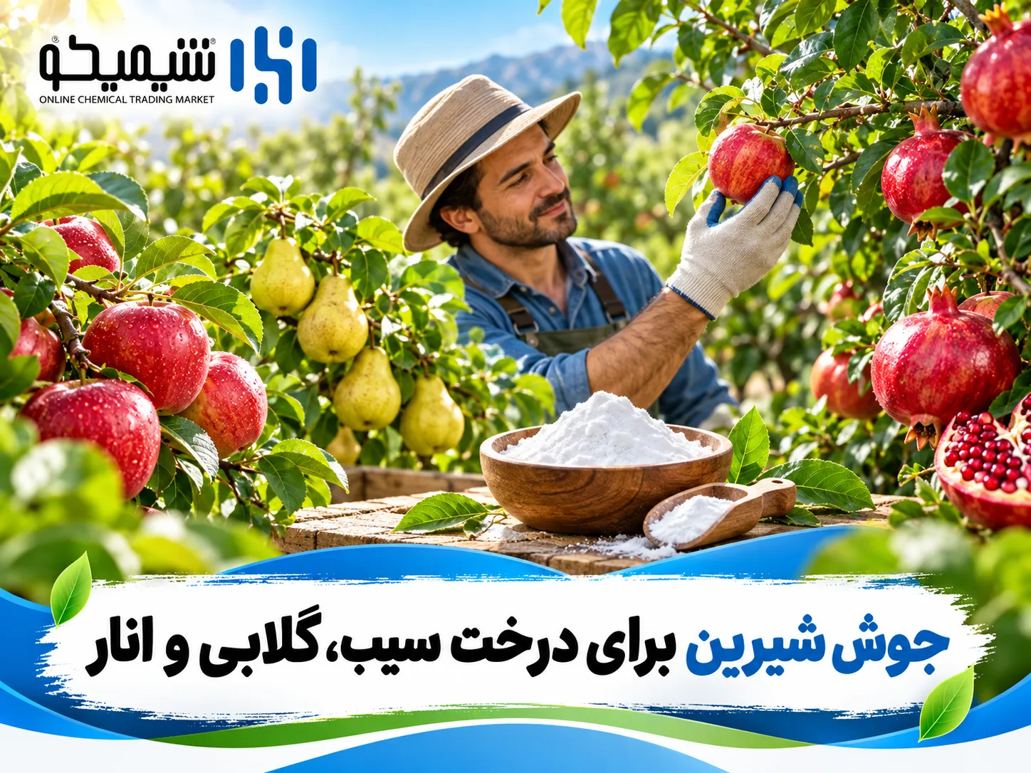 جوش شیرین برای درخت سیب، گلابی و انار مناسب است؟