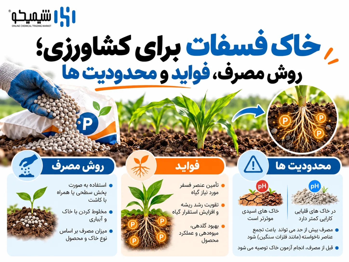 خاک فسفات برای کشاورزی؛ روش مصرف، فواید و محدودیت ها