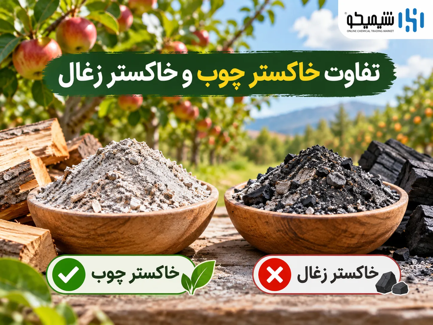 خاکستر زغال برای درختان میوه مفید است یا مضر؟