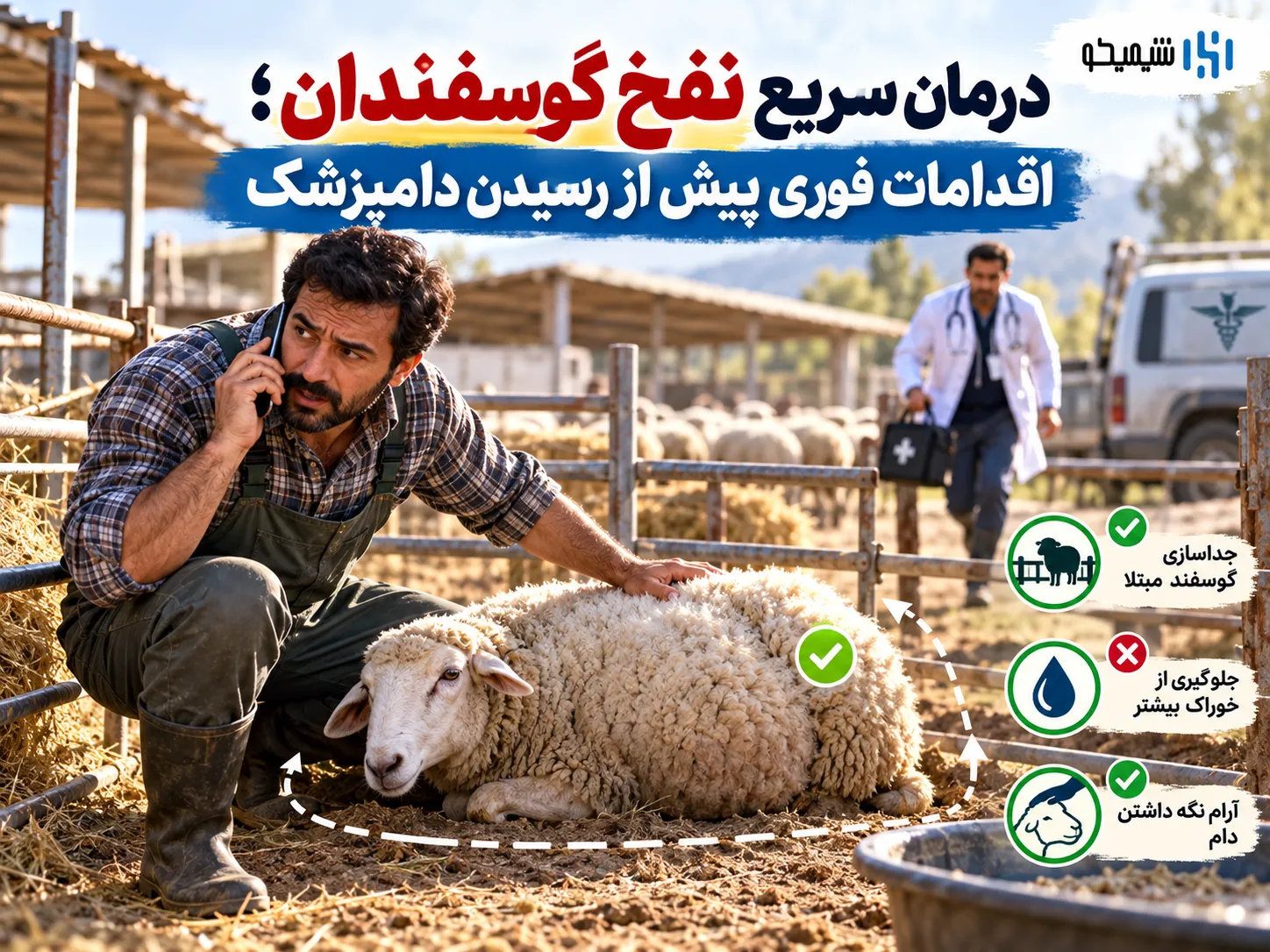 درمان سریع نفخ گوسفندان؛ اقدامات فوری پیش از رسیدن دامپزشک