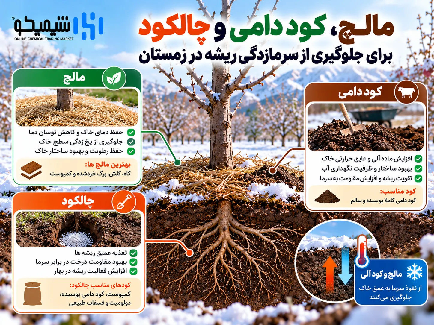 مالچ، کود دامی و چالکود برای جلوگیری از سرمازدگی ریشه در زمستان