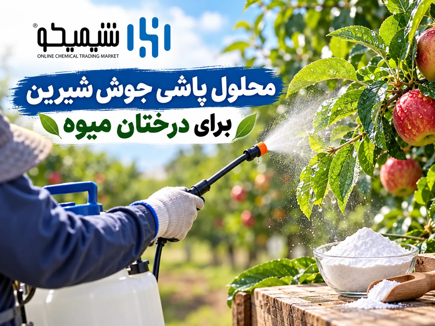 محلول پاشی جوش شیرین برای درختان میوه چگونه انجام می شود؟