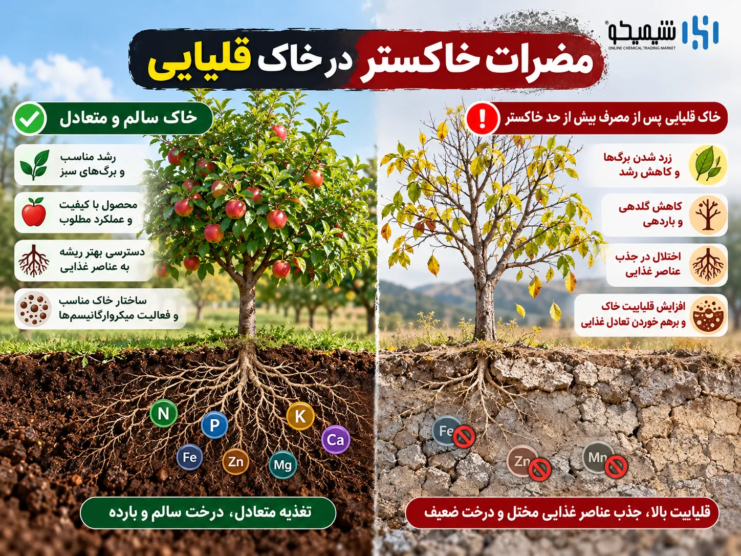مضرات خاکستر برای درختان میوه چیست؟