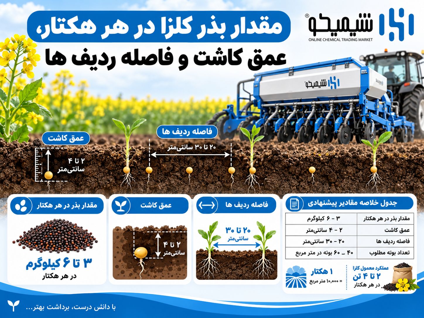مقدار بذر کلزا در هر هکتار، عمق کاشت و فاصله ردیف ها