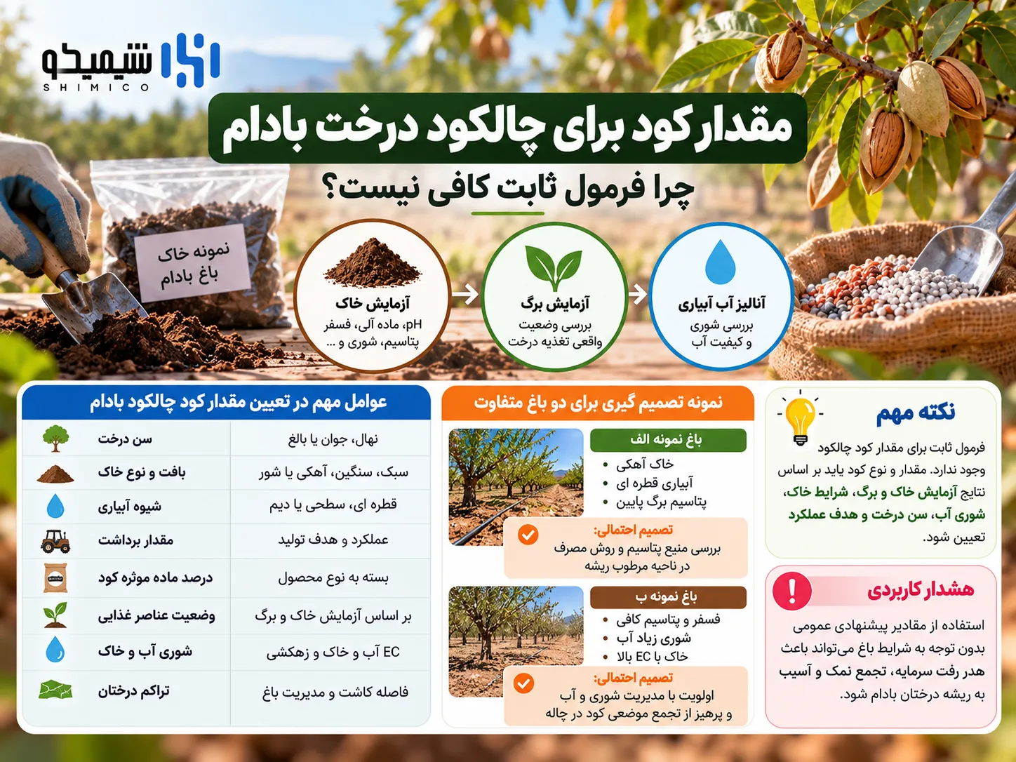 مقدار کود برای چالکود درخت بادام؛ چرا فرمول ثابت کافی نیست؟