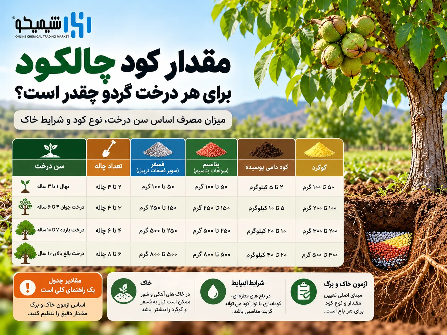 مقدار کود چالکود برای هر درخت گردو چقدر است؟
