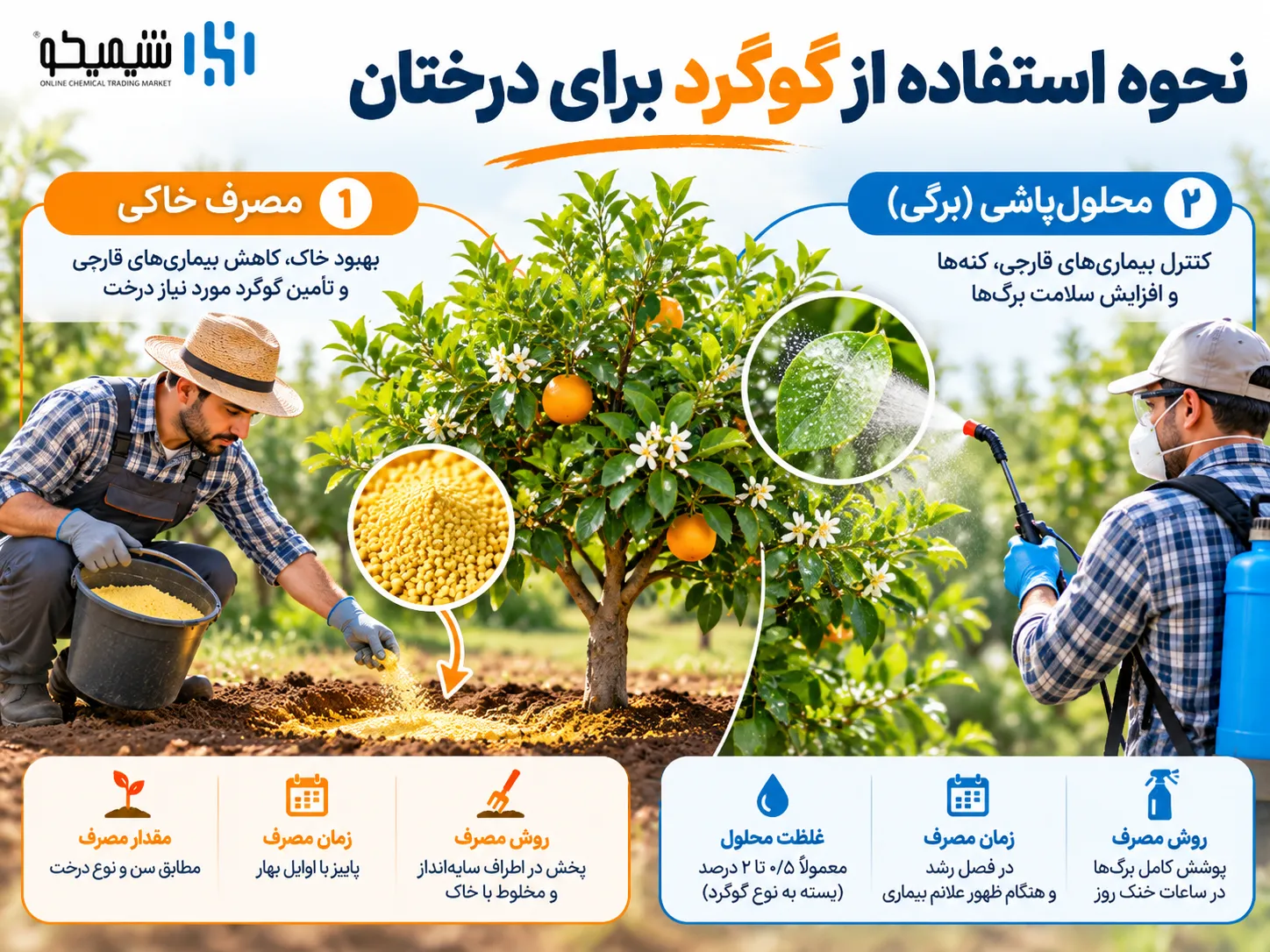 نحوه استفاده از گوگرد برای درختان چگونه است؟