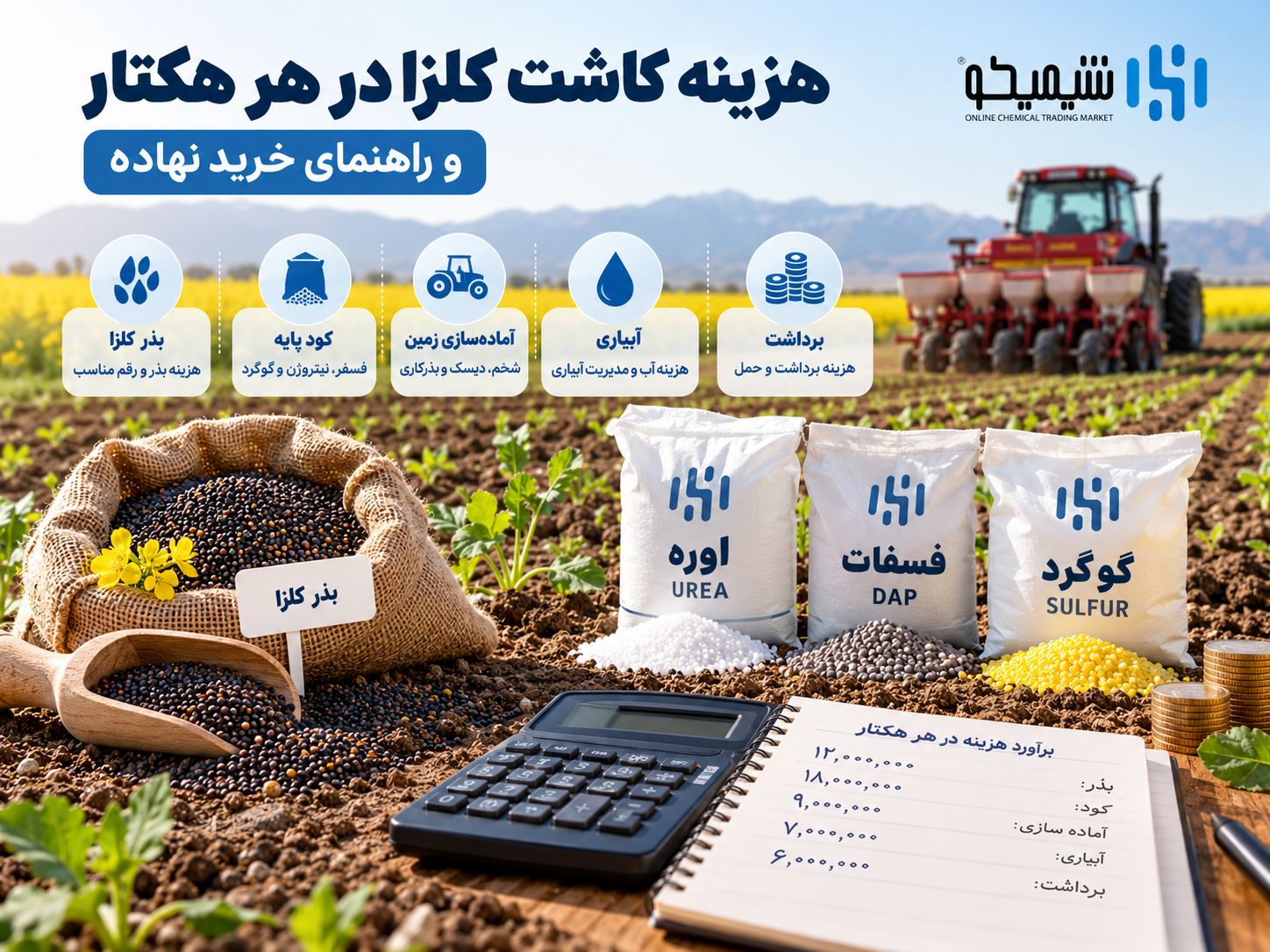 هزینه کاشت کلزا در هر هکتار و راهنمای خرید نهاده