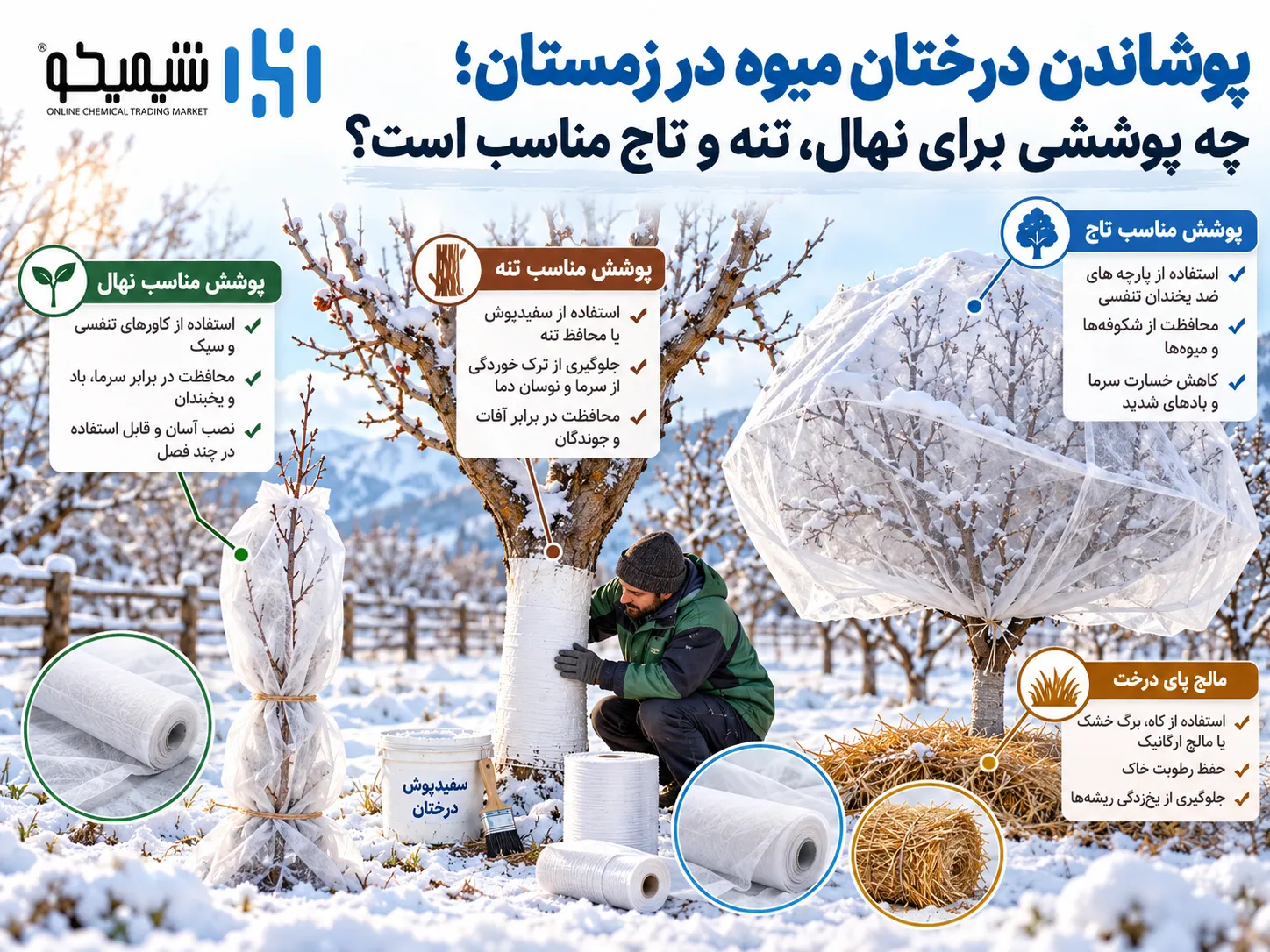 پوشاندن درختان میوه در زمستان؛ چه پوششی برای نهال، تنه و تاج مناسب است؟