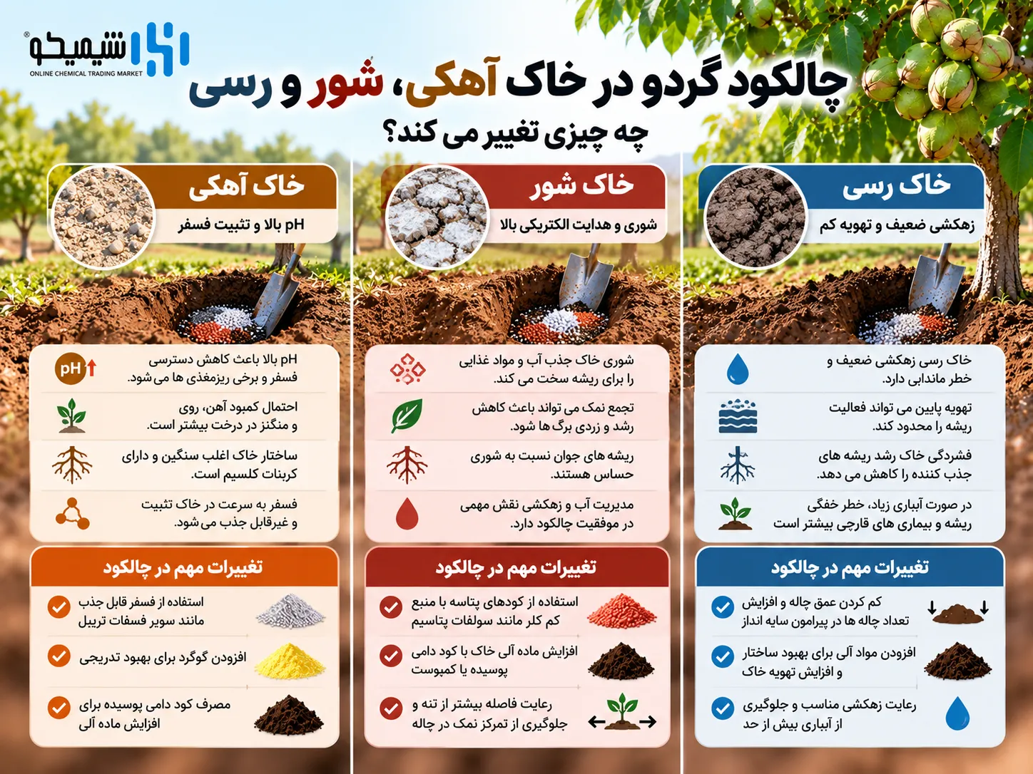 چالکود گردو در خاک آهکی، شور و رسی؛ چه چیزی تغییر می کند؟