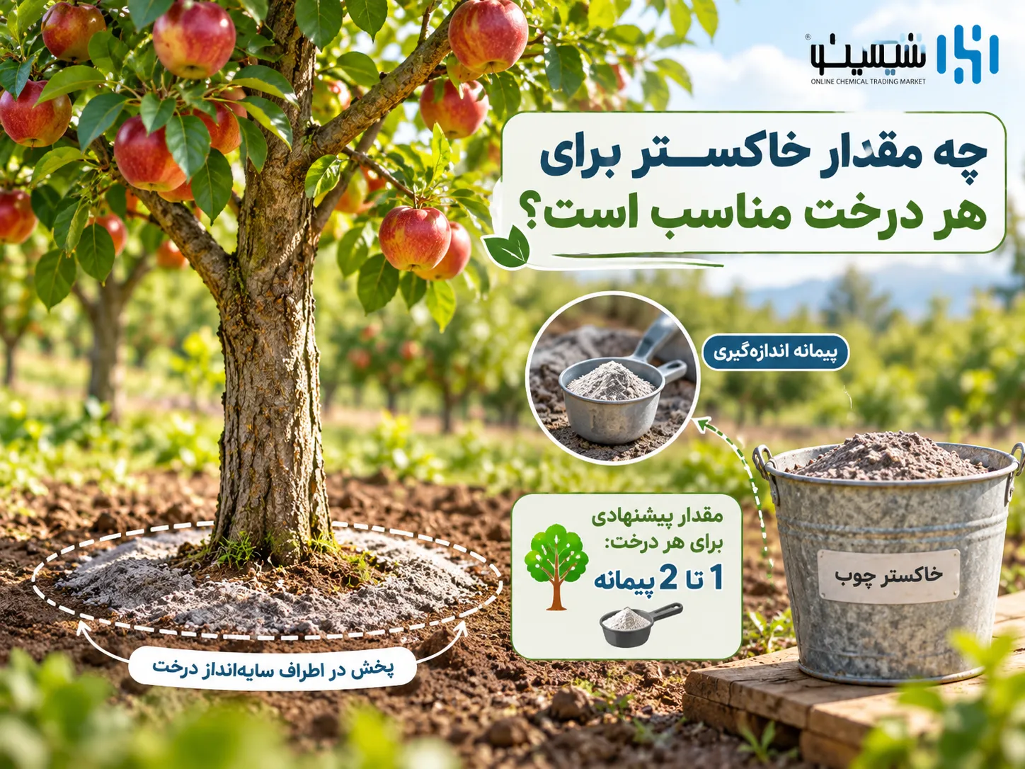 چه مقدار خاکستر برای هر درخت میوه لازم است؟
