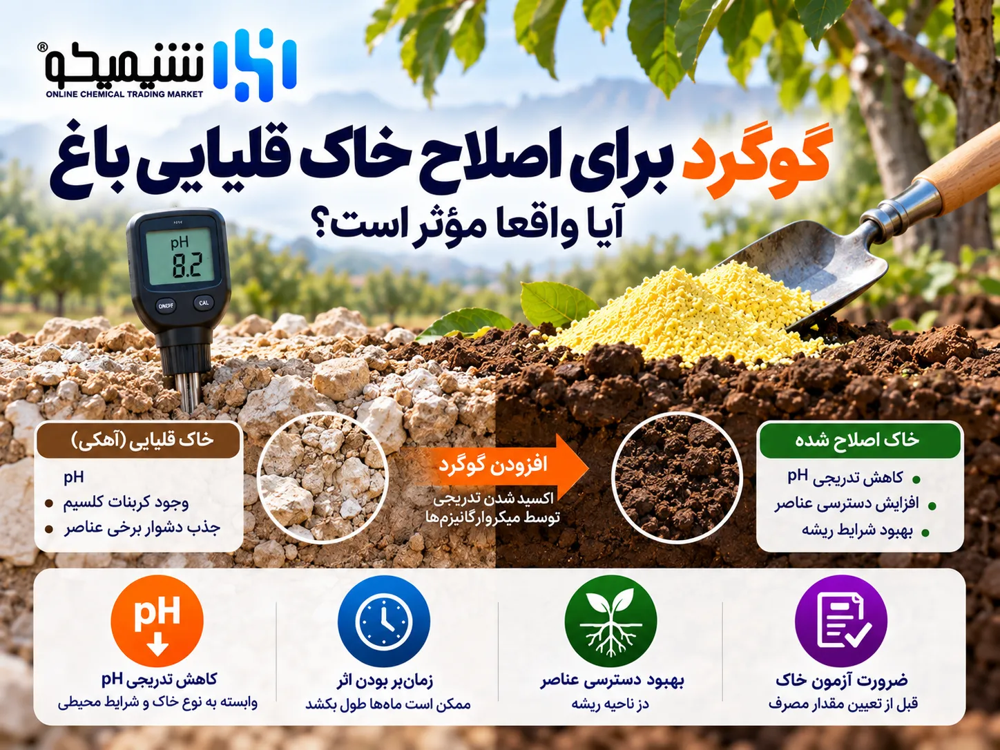 گوگرد برای اصلاح خاک قلیایی باغ؛ آیا واقعا مؤثر است؟