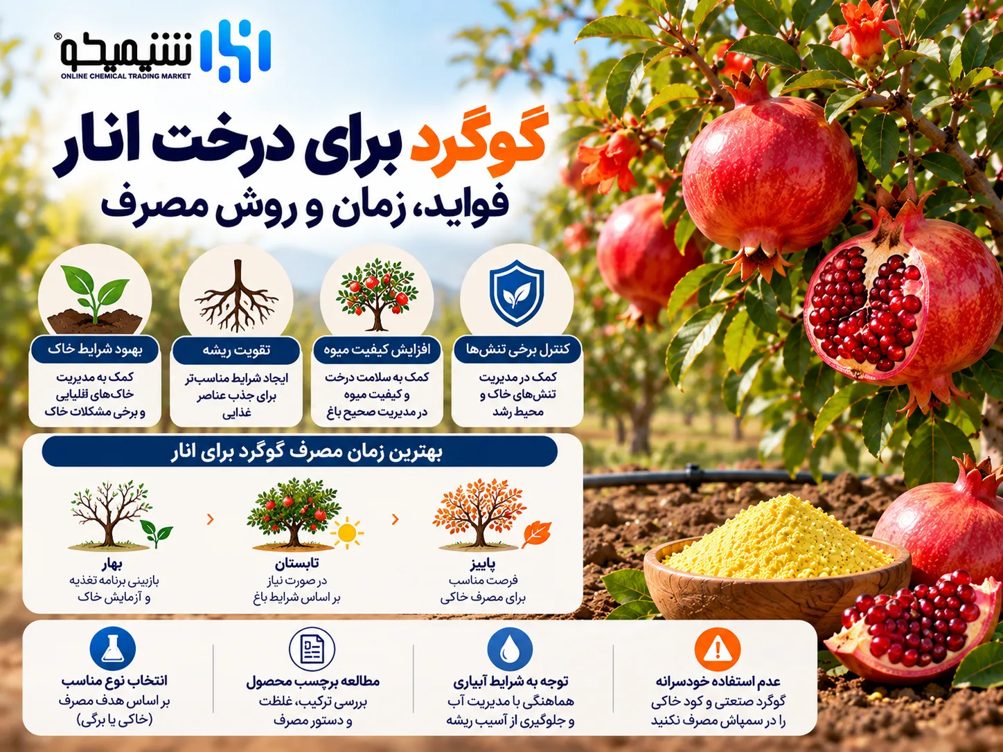 گوگرد برای درخت انار؛ فواید، زمان و روش مصرف