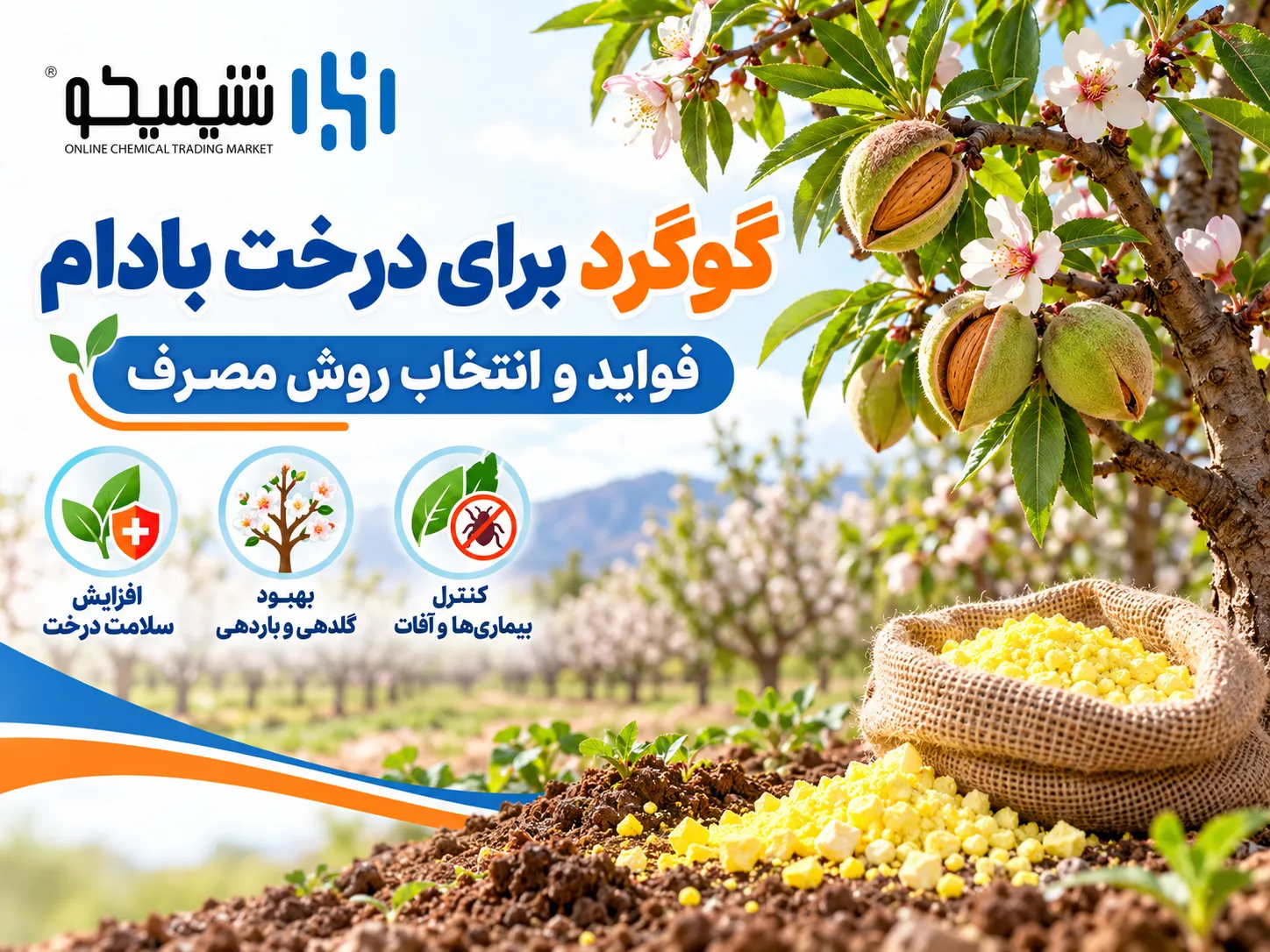 گوگرد برای درخت بادام؛ فواید، زمان و روش مصرف