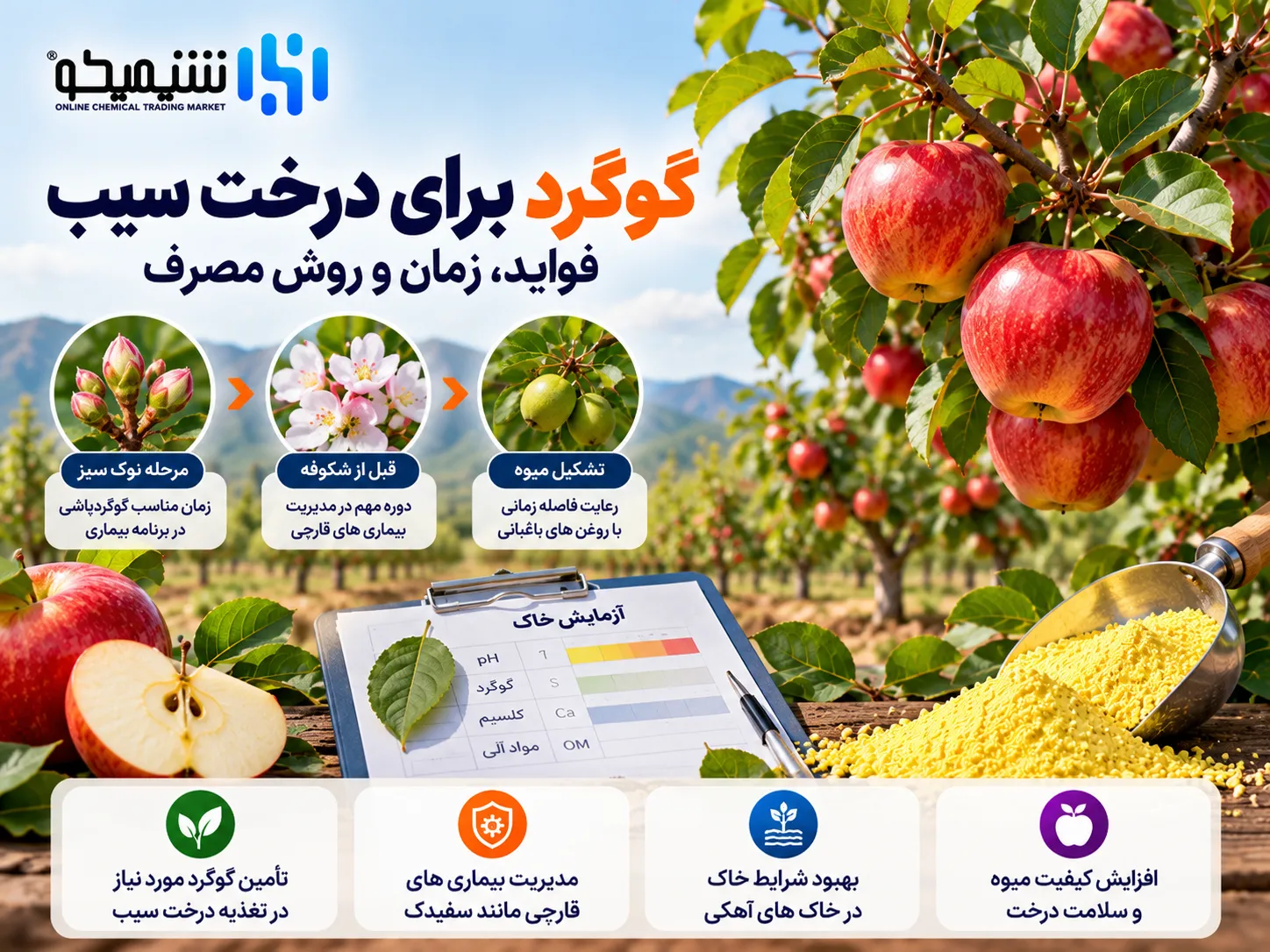 گوگرد برای درخت سیب؛ فواید، زمان و روش مصرف