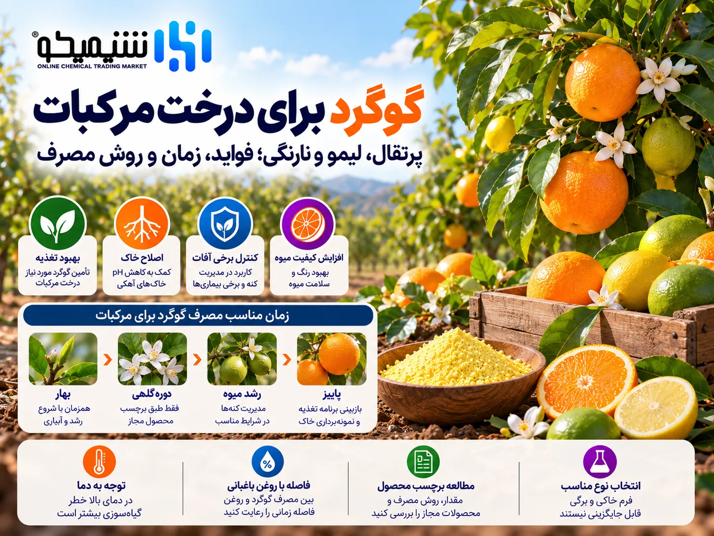 گوگرد برای درخت مرکبات؛ پرتقال، لیمو و نارنگی؛ فواید، زمان و روش مصرف