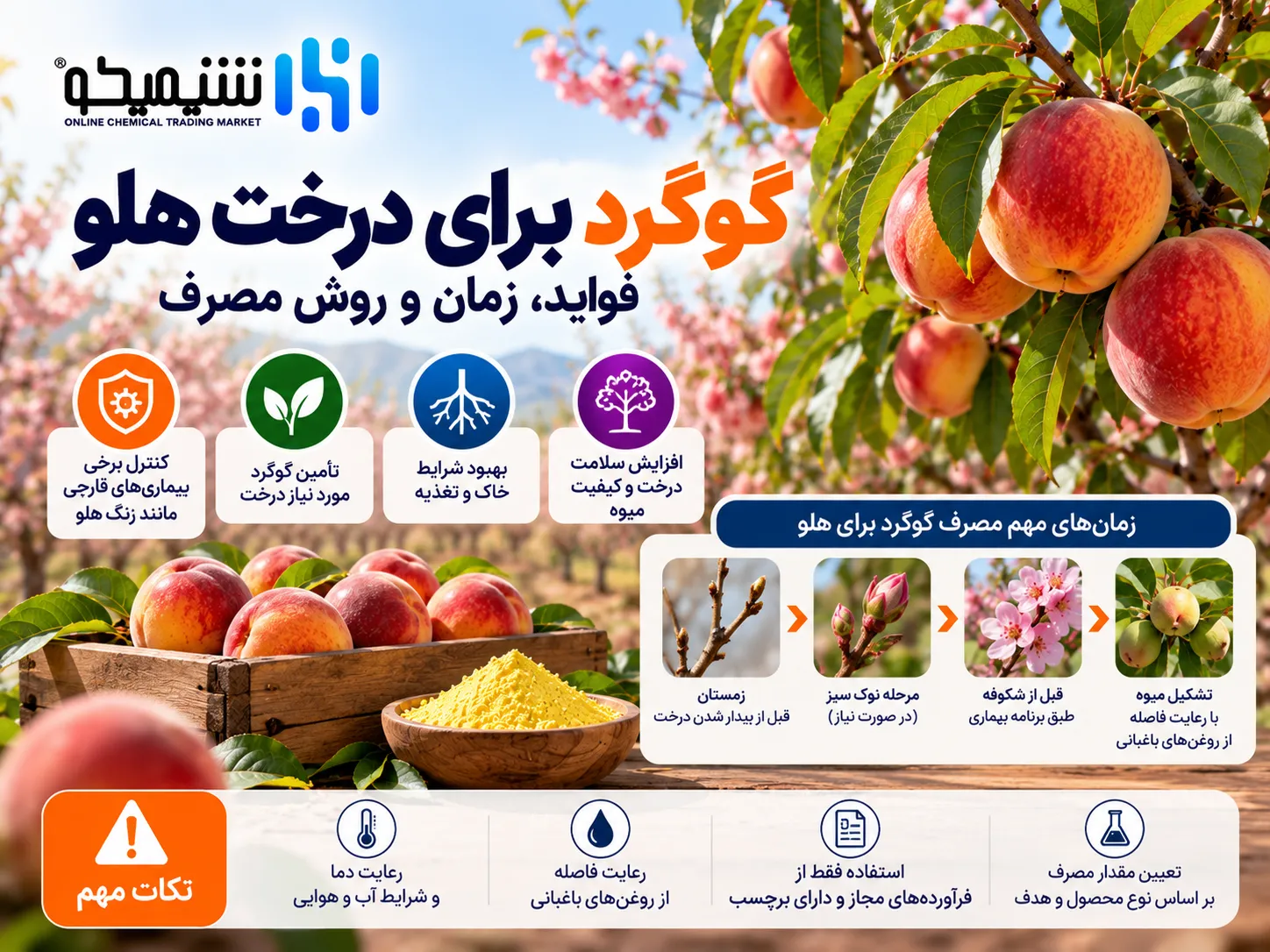گوگرد برای درخت هلو؛ فواید، زمان و روش مصرف