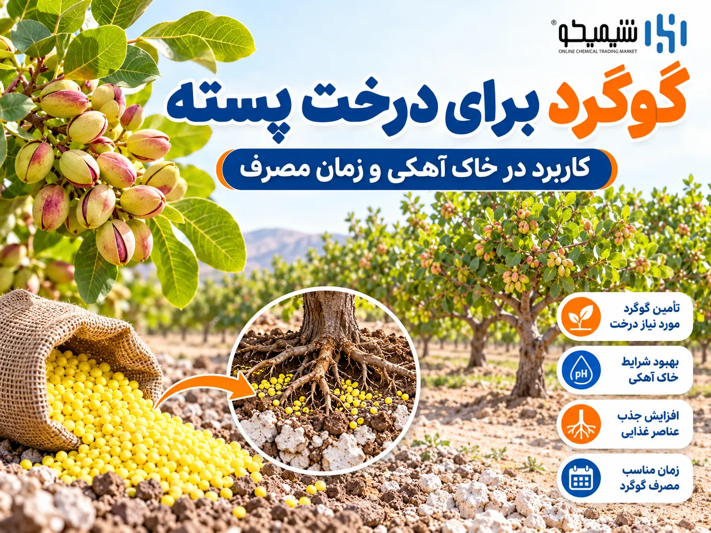 گوگرد برای درخت پسته؛ فواید، زمان و روش مصرف