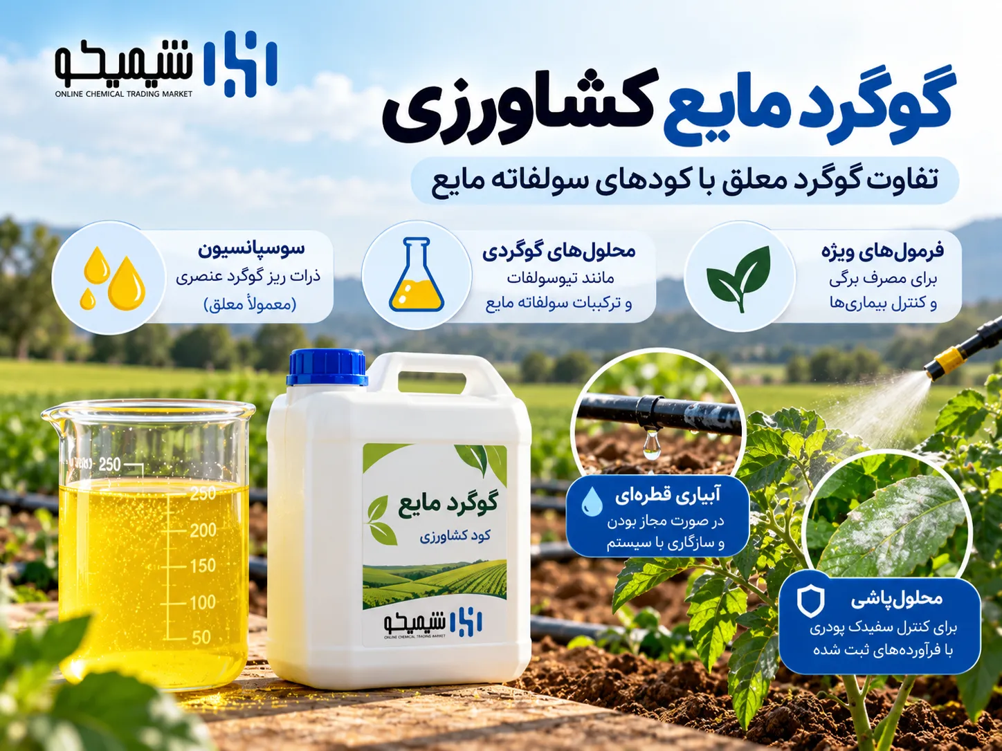 گوگرد مایع کشاورزی؛ تفاوت گوگرد معلق با کودهای سولفاته مایع