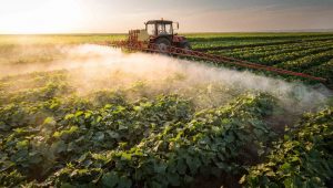ammonium sulfate in agriculture