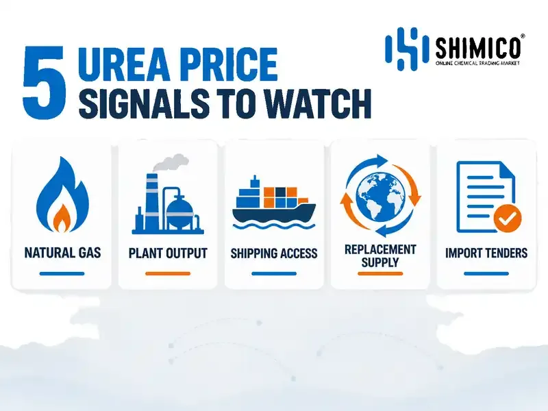 Urea Price Forecast 2026: Five Signals Global Buyers Should Watch