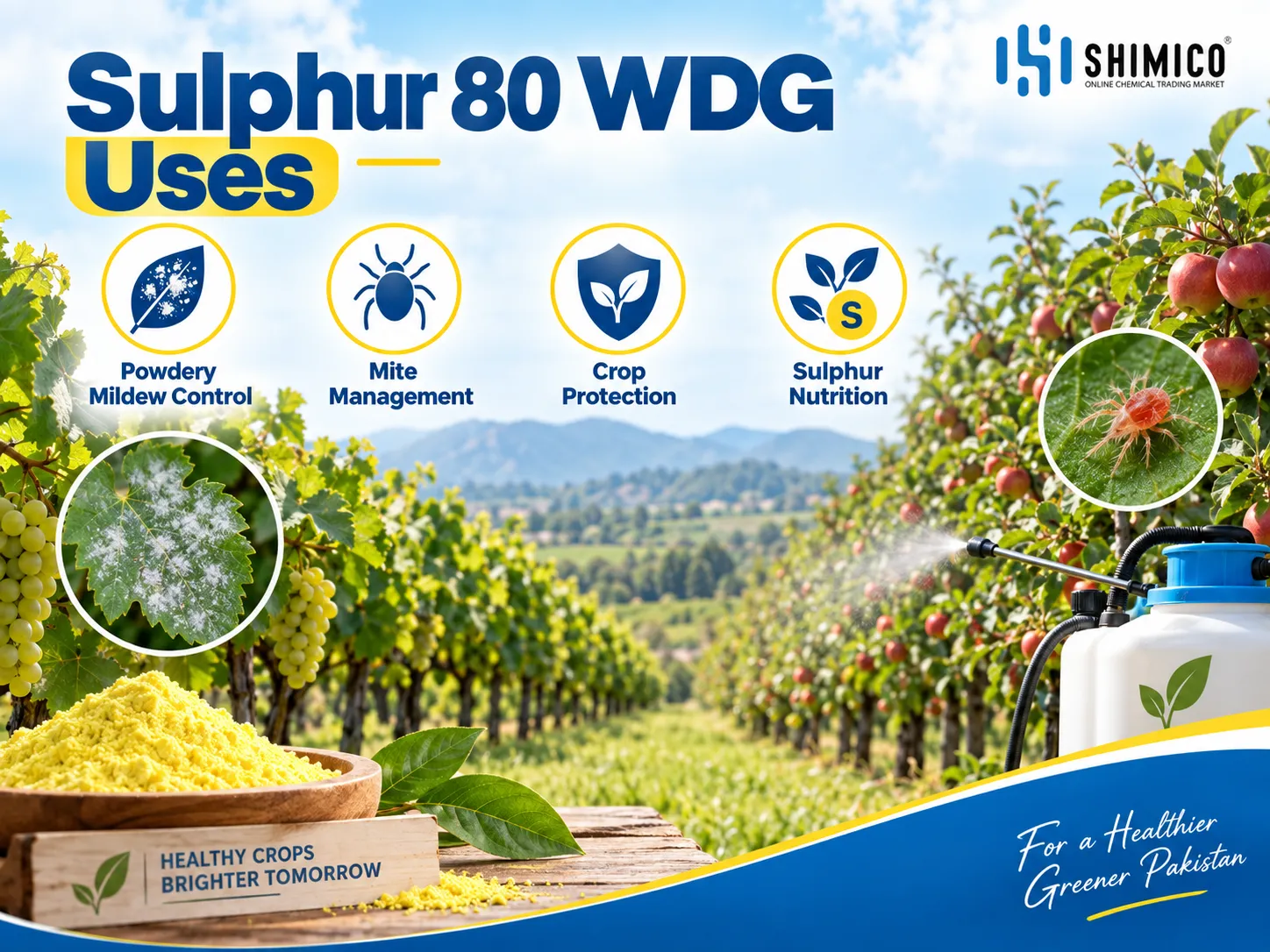 Sulphur 80 WDG Uses in Pakistan: Fungicide, Miticide and Sulphur Nutrition